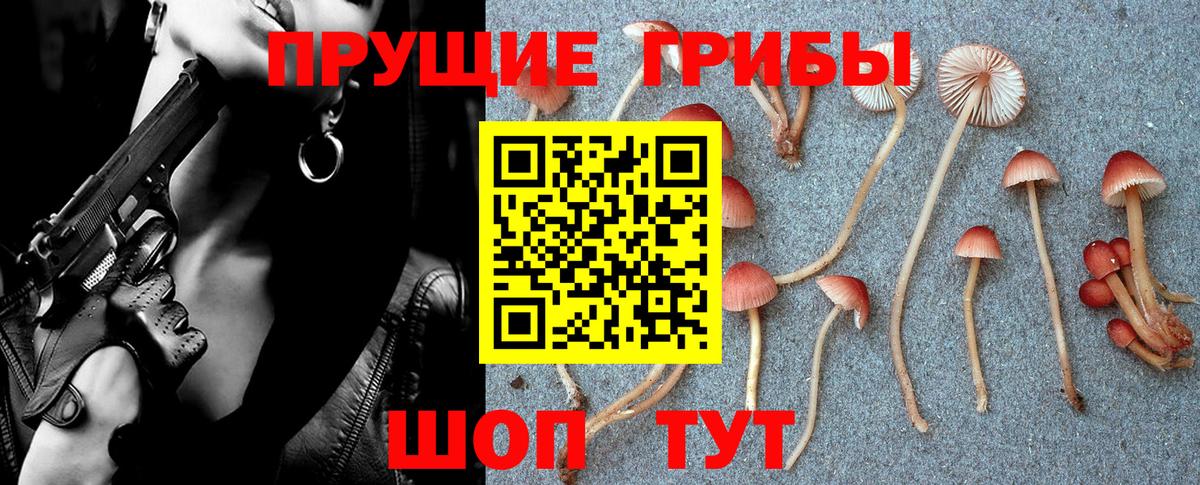 Галлюциногенные грибы Psilocybine cubensis Соликамск
