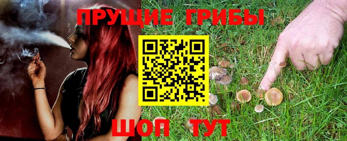 Галлюциногенные грибы MAGIC MUSHROOMS  Вход с VPN  Соликамск 